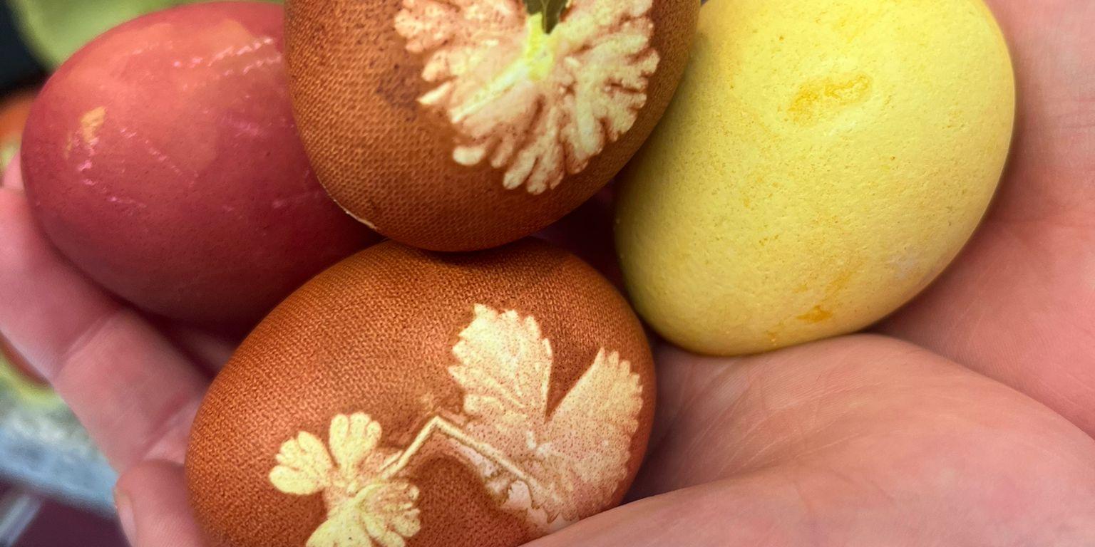 2020603 Eierfärben 1