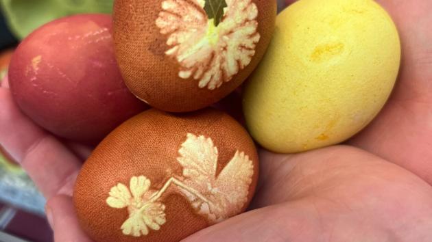 2020603 Eierfärben 1